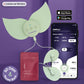 Back to School Bundle - Schmerzfrei durchstarten mit ONEflow und gratis fenou relief x cycle